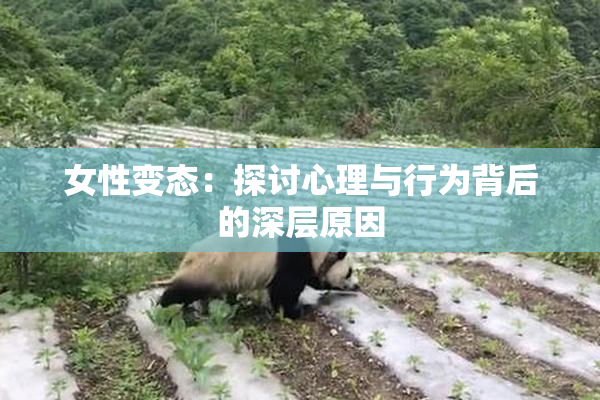 女性变态：探讨心理与行为背后的深层原因