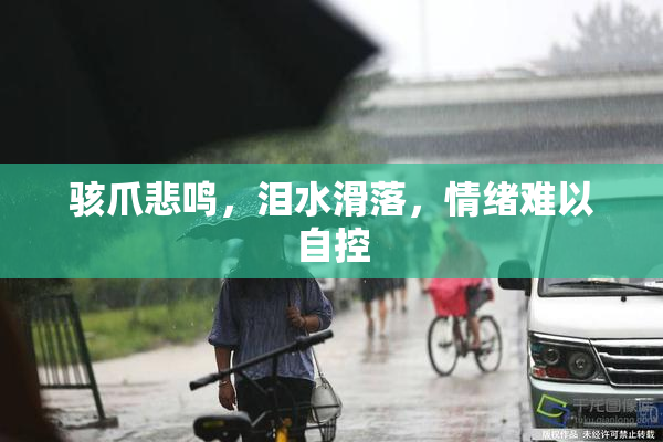 骇爪悲鸣，泪水滑落，情绪难以自控