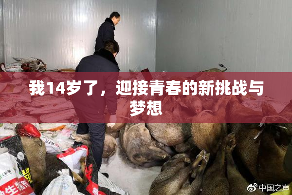 我14岁了，迎接青春的新挑战与梦想