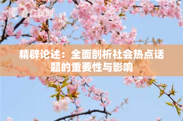精辟论述：全面剖析社会热点话题的重要性与影响