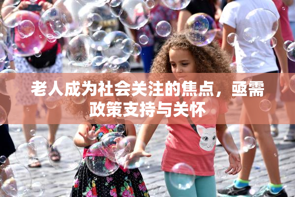 老人成为社会关注的焦点，亟需政策支持与关怀