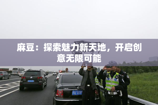 麻豆：探索魅力新天地，开启创意无限可能