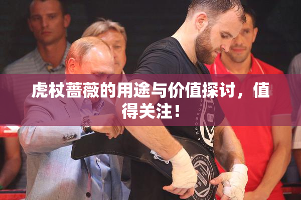 虎杖蔷薇的用途与价值探讨，值得关注！