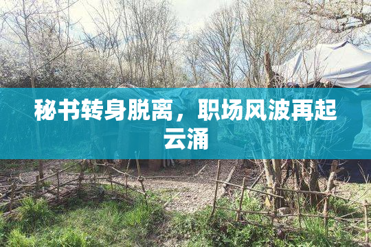 秘书转身脱离，职场风波再起云涌