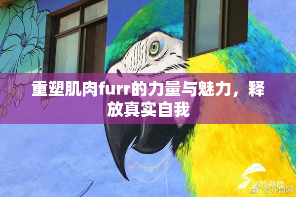 重塑肌肉furr的力量与魅力，释放真实自我