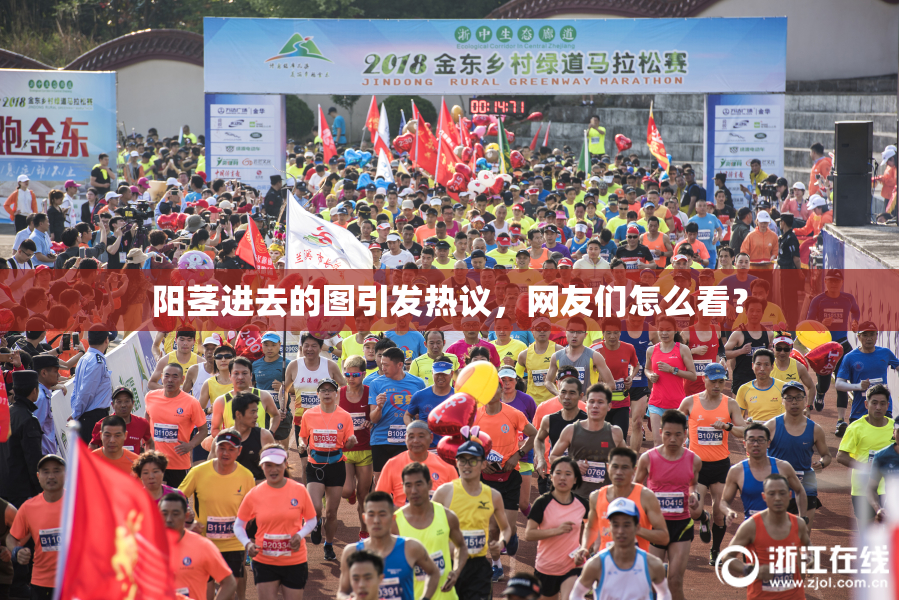 阳茎进去的图引发热议，网友们怎么看？