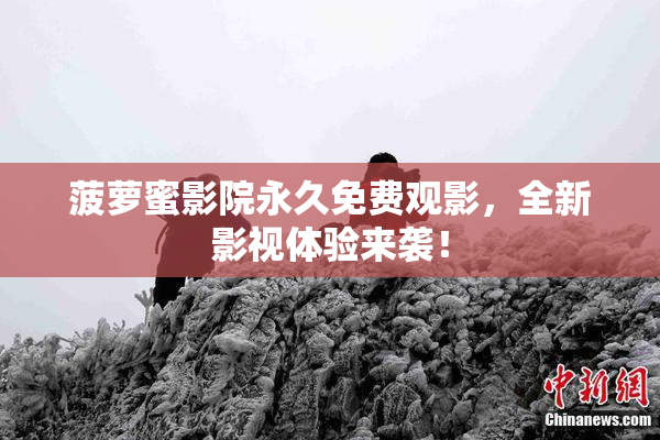 菠萝蜜影院永久免费观影，全新影视体验来袭！