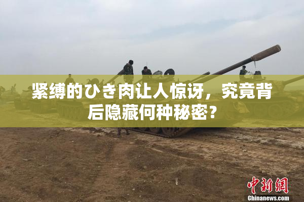 紧缚的ひき肉让人惊讶，究竟背后隐藏何种秘密？