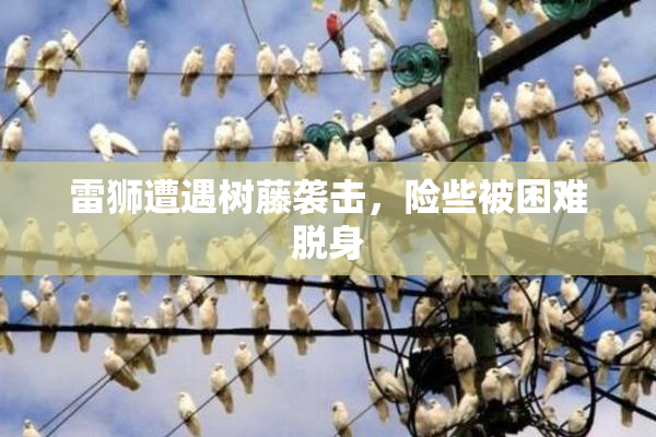 雷狮遭遇树藤袭击，险些被困难脱身
