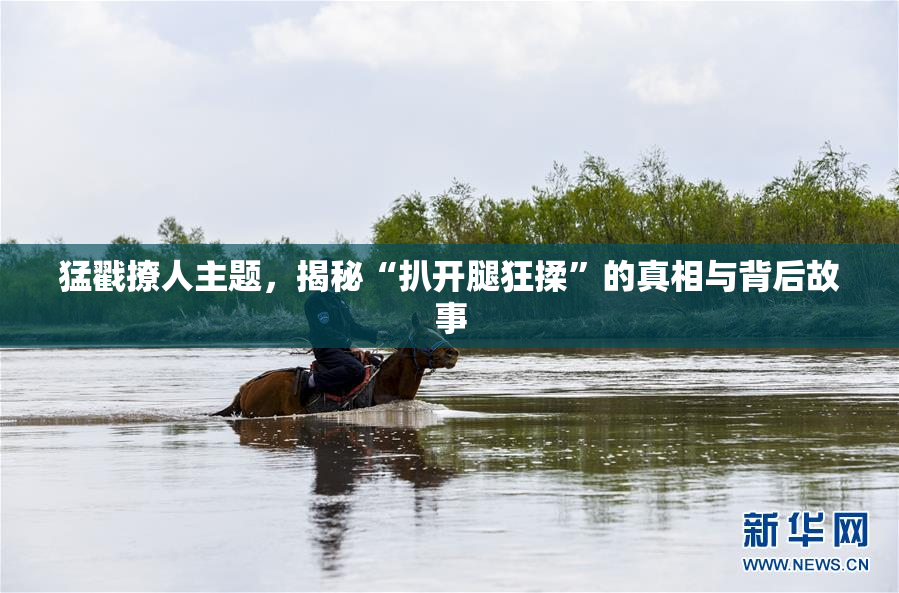猛戳撩人主题，揭秘“扒开腿狂揉”的真相与背后故事