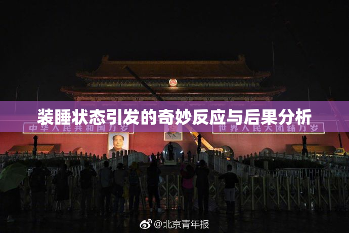 装睡状态引发的奇妙反应与后果分析