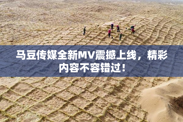 马豆传媒全新MV震撼上线，精彩内容不容错过！