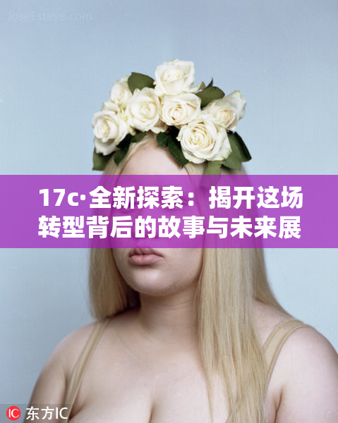 17c·全新探索：揭开这场转型背后的故事与未来展望