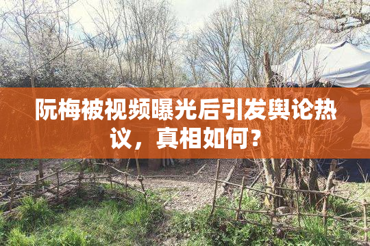 阮梅被视频曝光后引发舆论热议，真相如何？