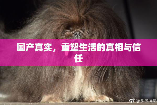 国产真实，重塑生活的真相与信任