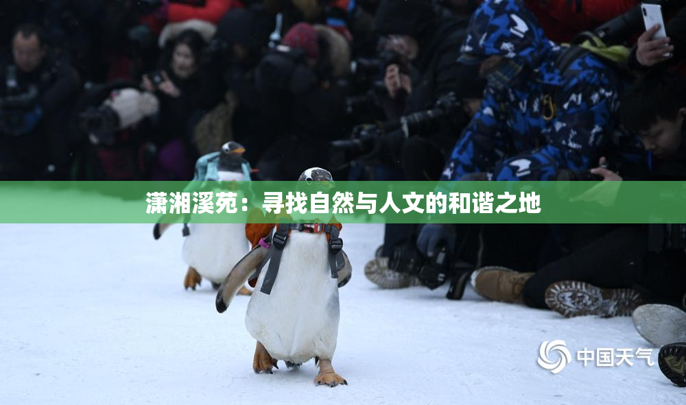 潇湘溪苑：寻找自然与人文的和谐之地