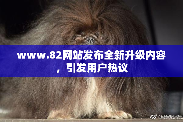 www.82网站发布全新升级内容，引发用户热议