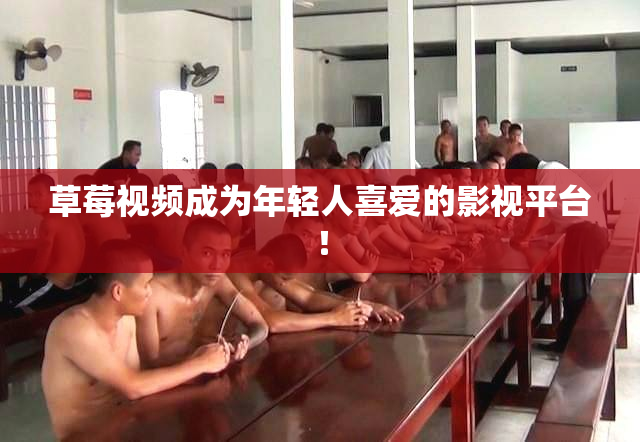草莓视频成为年轻人喜爱的影视平台！