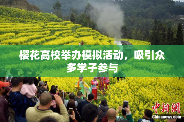 樱花高校举办模拟活动，吸引众多学子参与