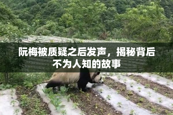 阮梅被质疑之后发声，揭秘背后不为人知的故事