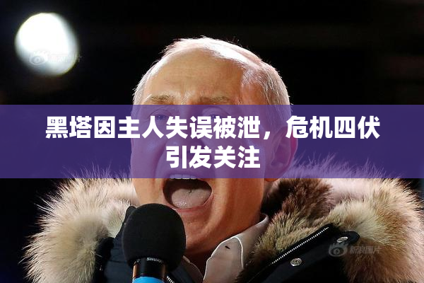 黑塔因主人失误被泄，危机四伏引发关注