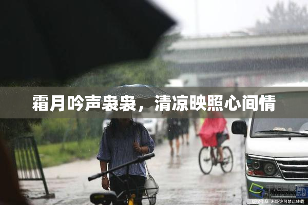 霜月吟声袅袅，清凉映照心间情