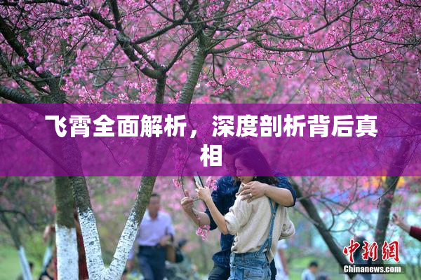 飞霄全面解析，深度剖析背后真相