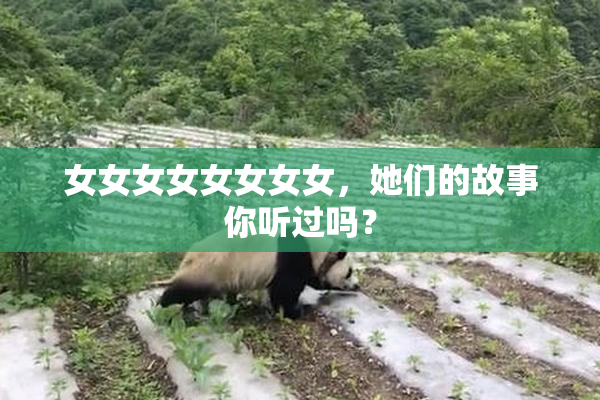 女女女女女女女女，她们的故事你听过吗？