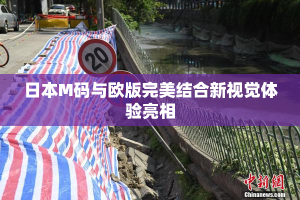 日本M码与欧版完美结合新视觉体验亮相