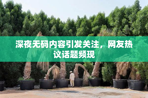 深夜无码内容引发关注，网友热议话题频现