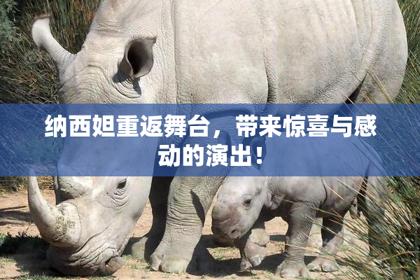 纳西妲重返舞台，带来惊喜与感动的演出！