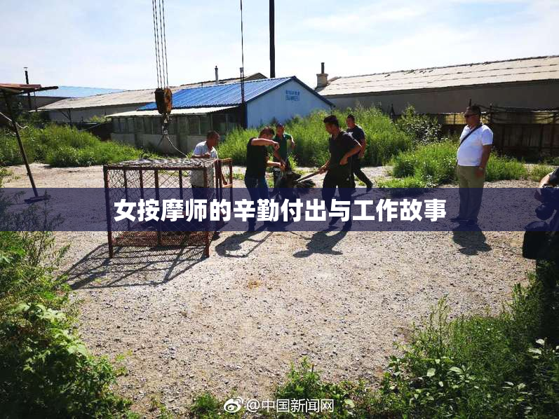 女按摩师的辛勤付出与工作故事