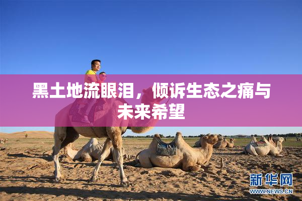 黑土地流眼泪，倾诉生态之痛与未来希望