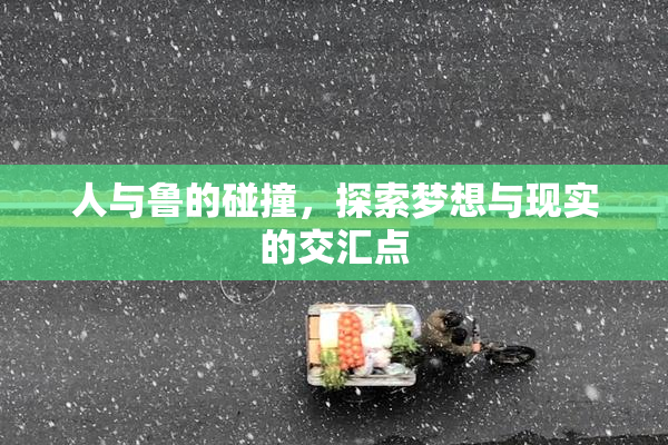 人与鲁的碰撞，探索梦想与现实的交汇点