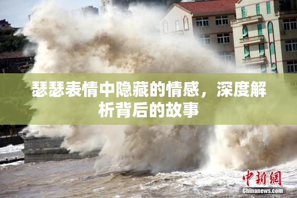 瑟瑟表情中隐藏的情感，深度解析背后的故事