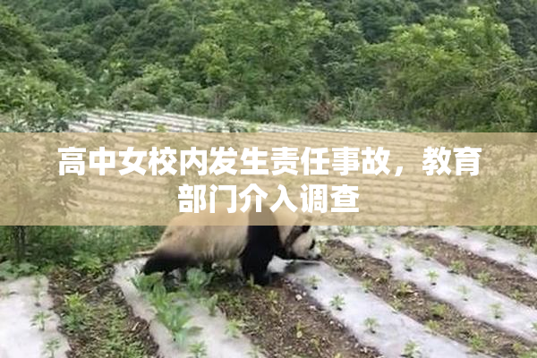 高中女校内发生责任事故，教育部门介入调查