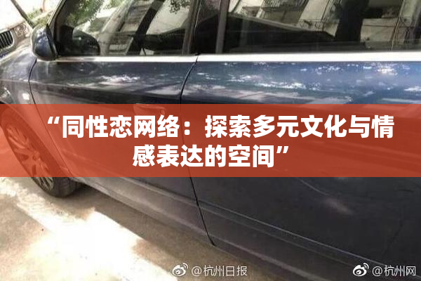 “同性恋网络：探索多元文化与情感表达的空间”
