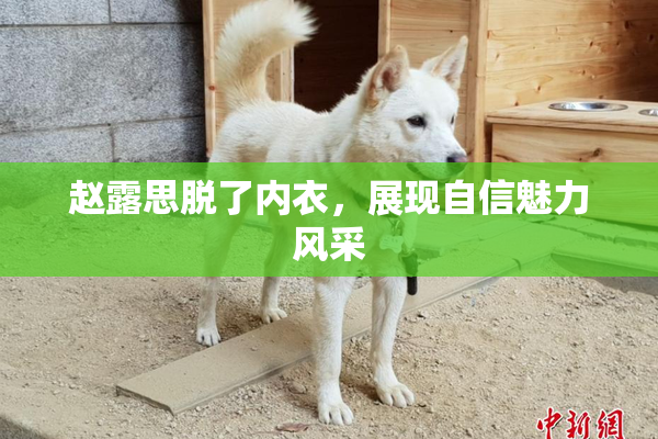 赵露思脱了内衣，展现自信魅力风采