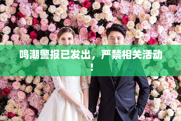 鸣潮警报已发出，严禁相关活动！