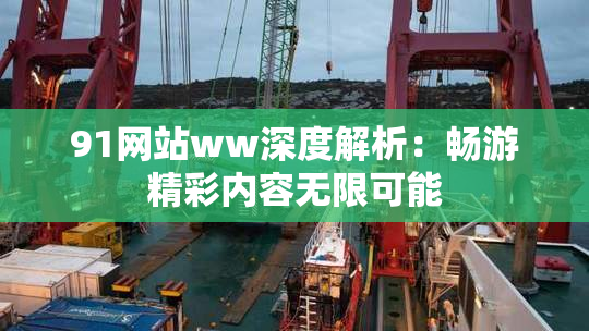 91网站ww深度解析：畅游精彩内容无限可能