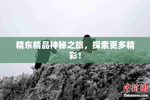 精东精品神秘之旅，探索更多精彩！