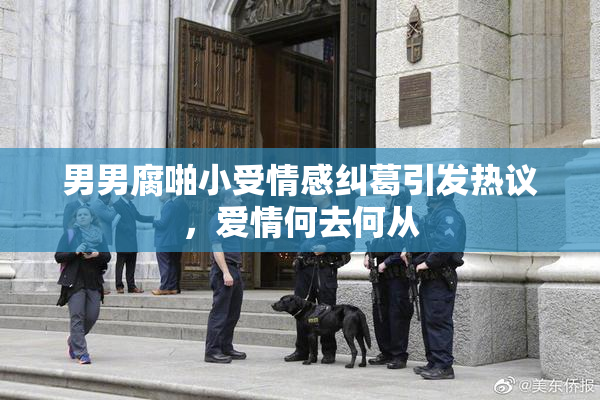 男男腐啪小受情感纠葛引发热议，爱情何去何从