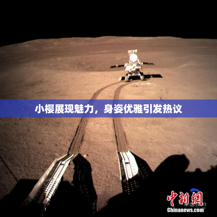 小樱展现魅力，身姿优雅引发热议