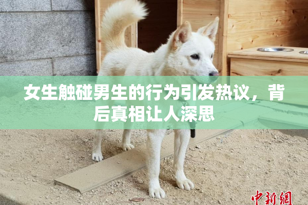 女生触碰男生的行为引发热议，背后真相让人深思