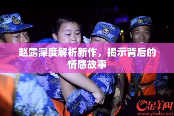 赵露深度解析新作，揭示背后的情感故事