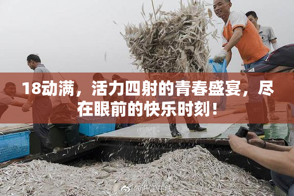 18动满，活力四射的青春盛宴，尽在眼前的快乐时刻！