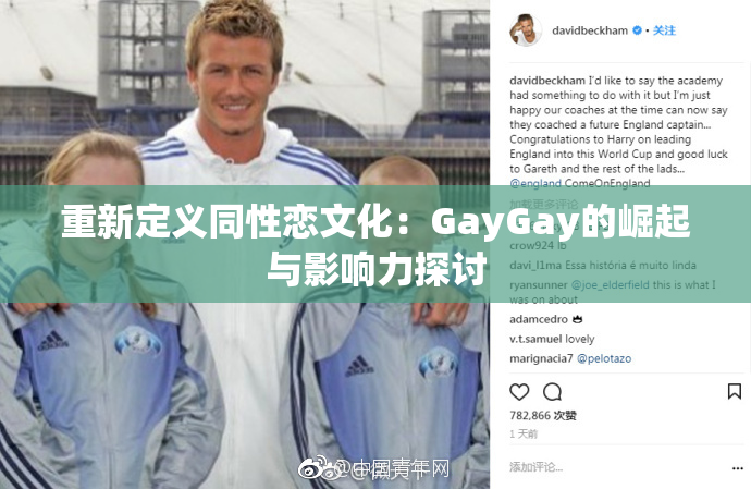 重新定义同性恋文化：GayGay的崛起与影响力探讨