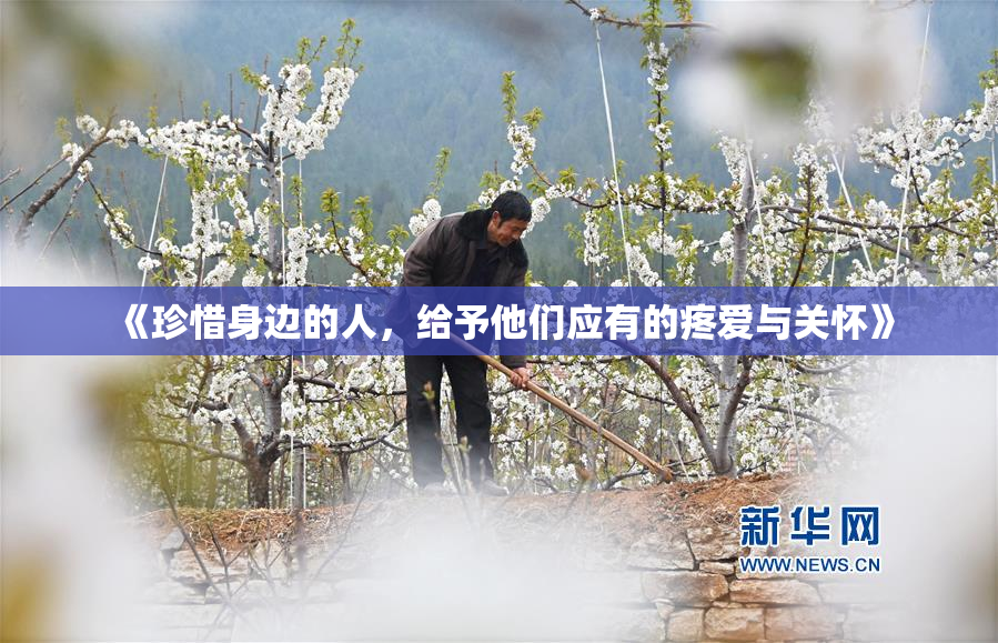 《珍惜身边的人，给予他们应有的疼爱与关怀》