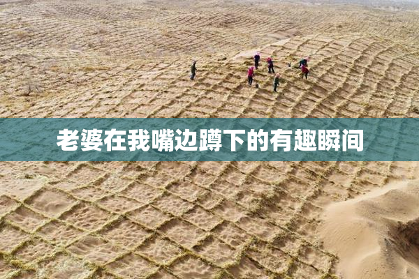 老婆在我嘴边蹲下的有趣瞬间