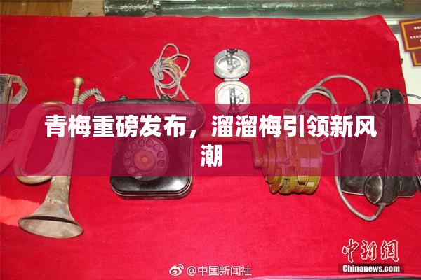 青梅重磅发布，溜溜梅引领新风潮